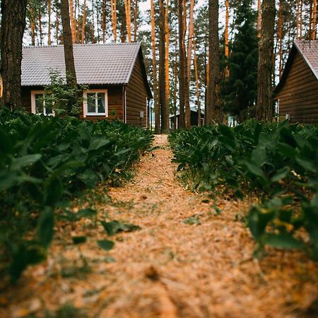 Duck Lake Villa Polatsk Ngoại thất bức ảnh